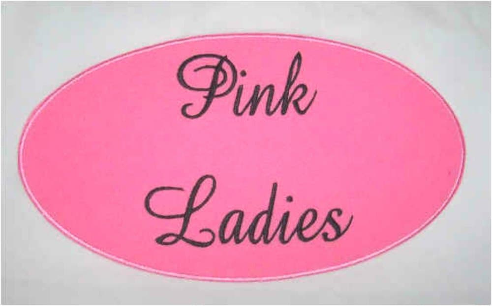 Pink Ladies Patch Embroidered Iron on Badge Applique Grease Costume 1950's Cosplay Souvenir