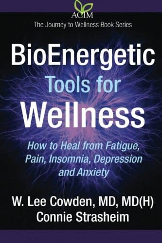 BioEnergetic Tools for Wellness (The Journey to Wellness) Paperback – November 6, 2014