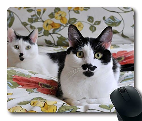Custom Unique Mouse Pad with Cats Couple Cute Bed Linen Non-Slip Neoprene Rubber Standard Size 9 Inch(220mm) X 7 Inch(180mm) X 1/8 Inch(3mm) Desktop Mousepad Laptop Mousepads Comfortable Computer Mouse Mat