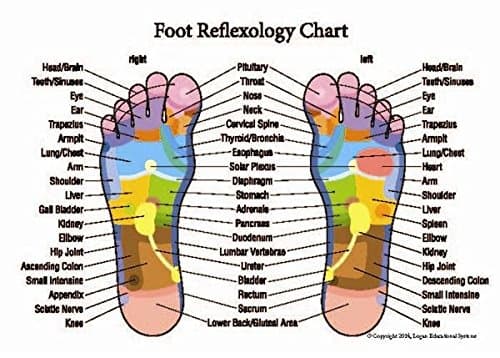 Professional Hand and Foot Reflexology and Acupressure Pocket Guide - 25 Pack