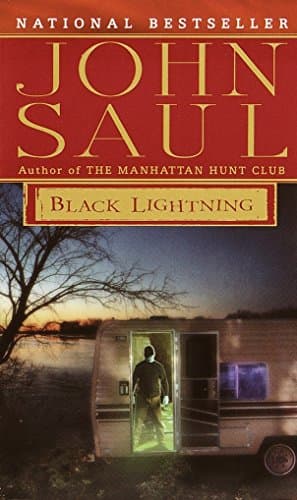Black Lightning: A Novel