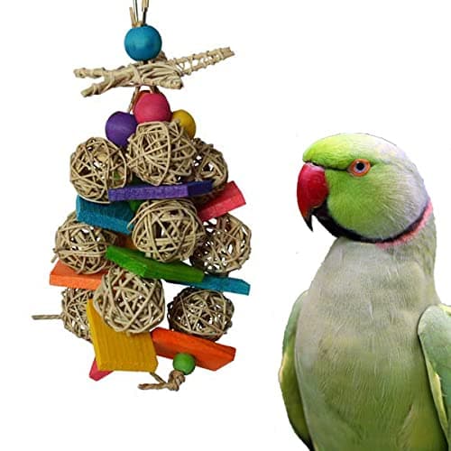 Super Bird CreationsSB480 Starburst Bird Toy - Colorful Bird Toy for Medium Parrots, Cockatiels, Conures & Parakeets, Cockatiel Toy, Budgie Toys, Bird Toys, Bird Entertainment, Medium Birds, 10" x 4"