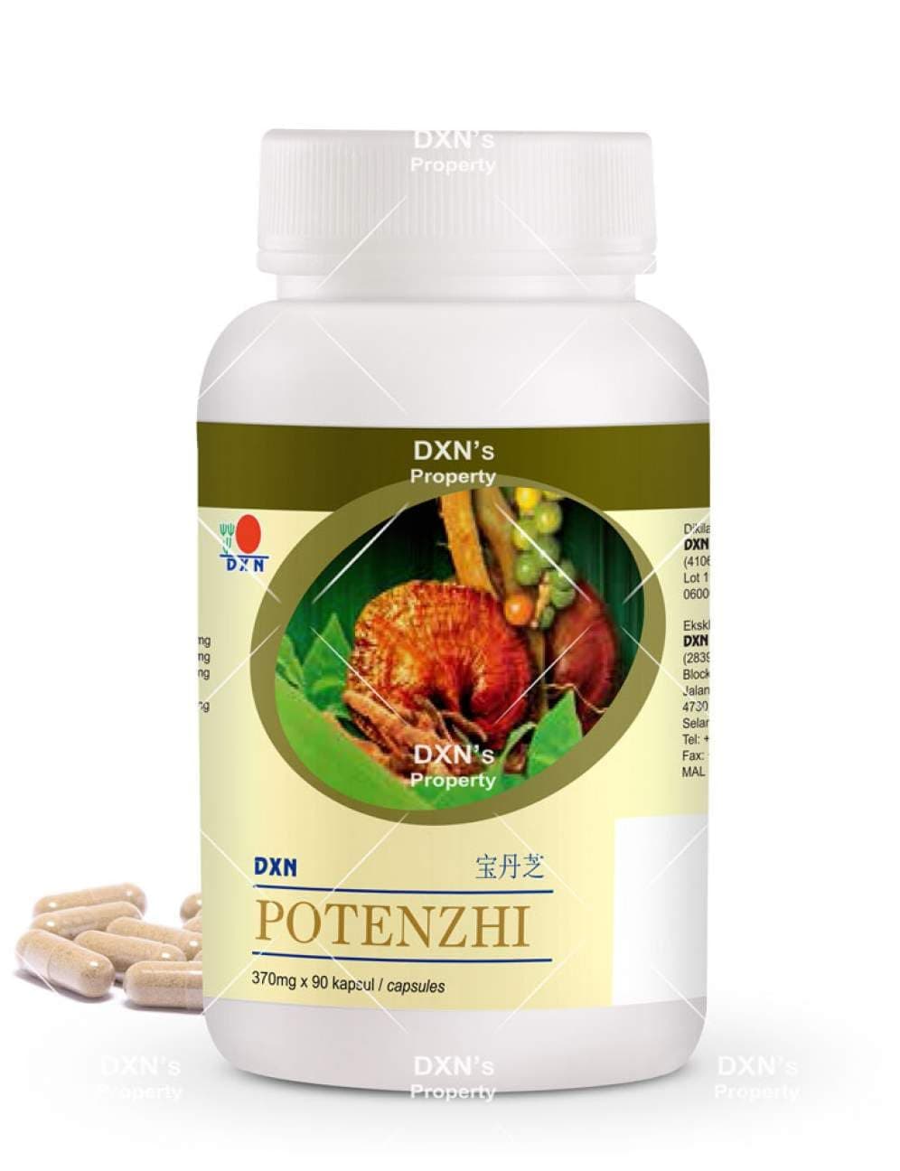 LIMITEDBONUSDEAL DXN Potenzhi 90 Capsules (8 Bottle)