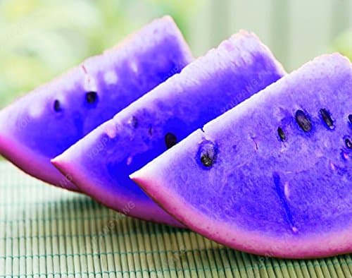 30pcs/Bag Rare Purple Meat Watermelon Seeds Fruit Seeds Super Big Water Melon Seeds for Home & Garden Free Shipping