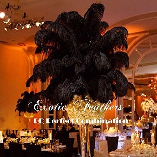 Special Sale 25 Black Ostrich Feathers Wholesale Bulk 10/14" Long Deluxe Tail Feathers Black Qty 25 'The Black Swan Collection' Brand Name 'Exotic Feathers' MFG. RR Perfect Combination