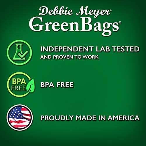 Debbie Meyer Green Bags (40-Pack Medium Bags)