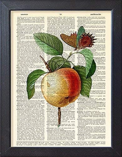 Apple Poster, Fruit Print, Vegetarian Old Book Page Art