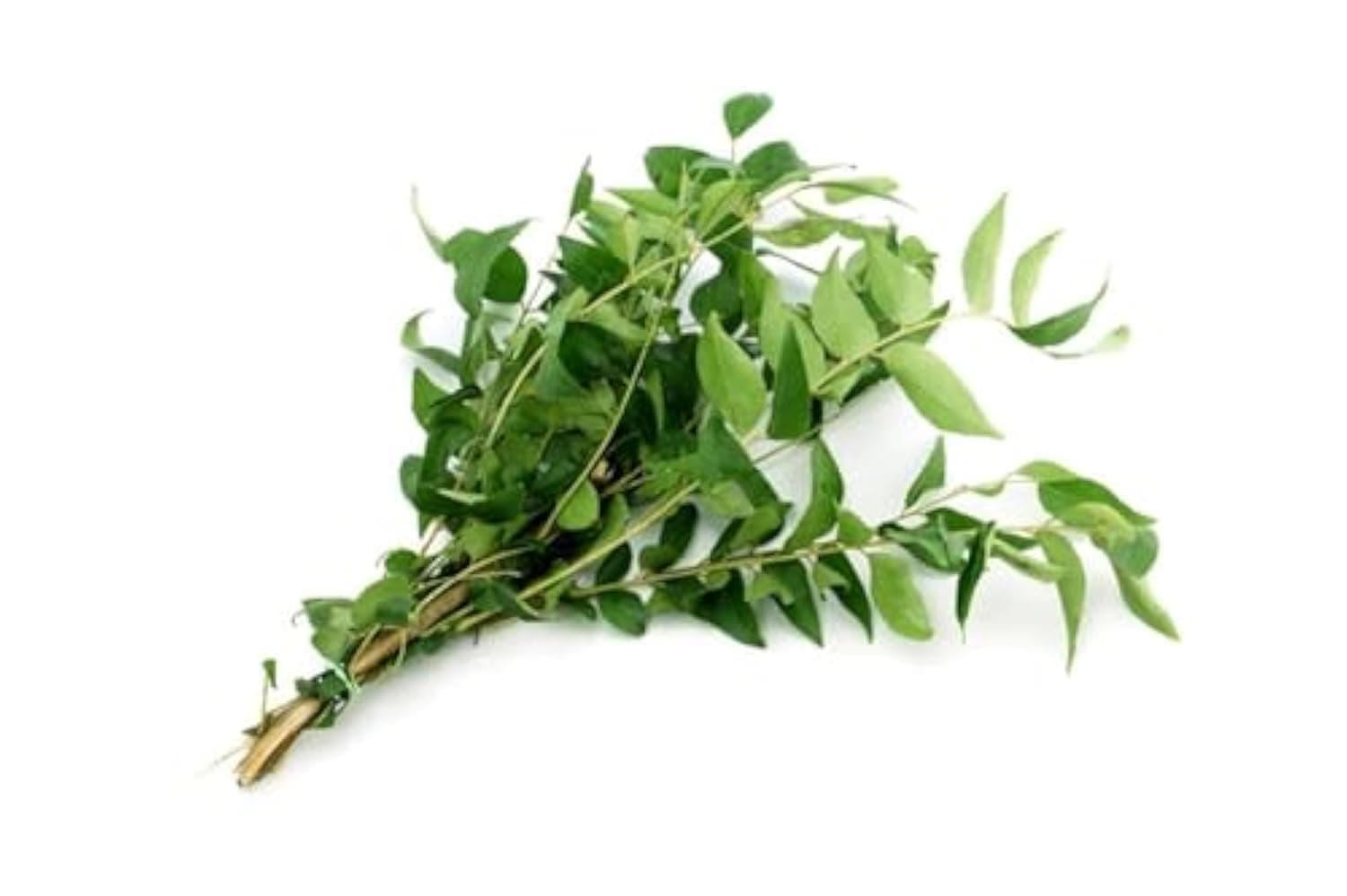 FreshtoHome | Curry Leaf Bunch | 65g (India)