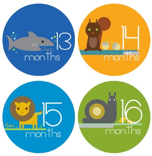 Lucy Darling Shop Monthly Baby Stickers - Baby Boy - Zoo Animals - Months 13-24