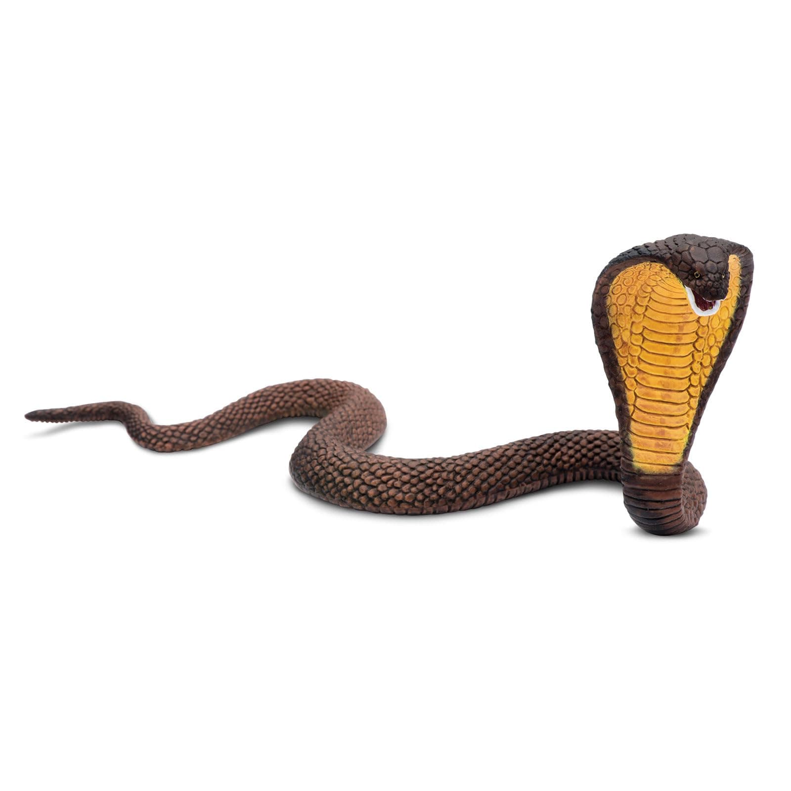 Wild Safari Wildlife Cobra
