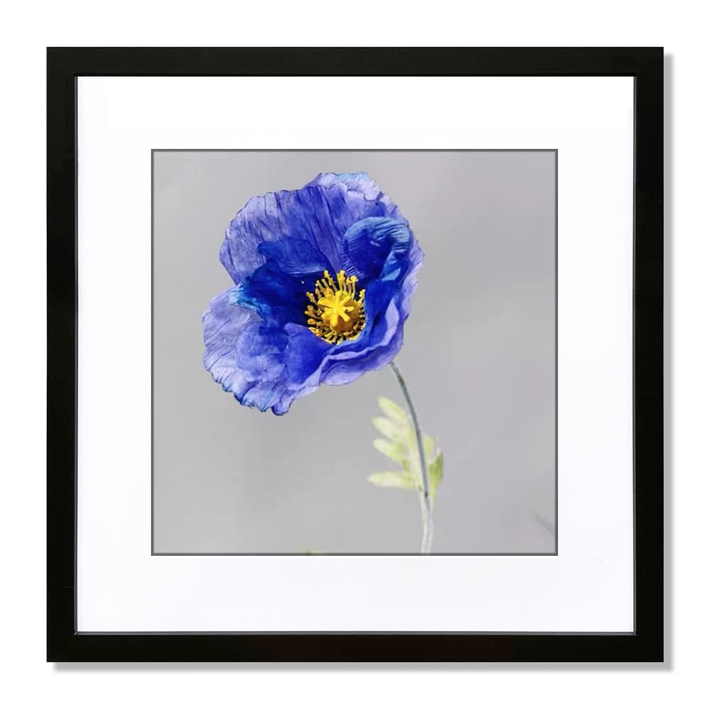 VNVNK 15x15 Frame Black, Perfect for 15x15 Inch Picture without Mat or 11x11 Inch Picture with Mat, Home Wall Decor Picture Frame-1 PCS