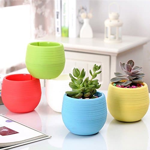 StarBox 10 Pcs Small Colorful Plastic Planters Succulents Plant Watering Pot Double Layer Detachable Indoor and Outdoor Flower Pot (Circle 10Pcs)