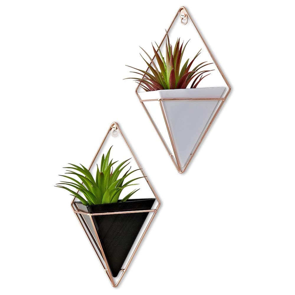 YANXUS Hanging Planter Succulent Planter Pot - Hanging Planter Pot Wall Planter Container for Succulent Plants Triangle Air Planter Succulent Planter Wall Decor(White-Black)