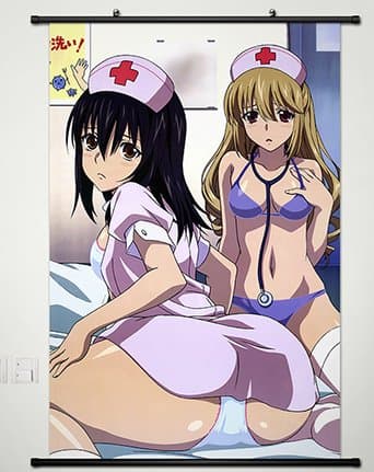 Home Decor Anime Strike the Blood Wall Scroll Poster Sexy Asagi Aiba & Yukina Himeragi 23.6 X 35.4 Inches-011