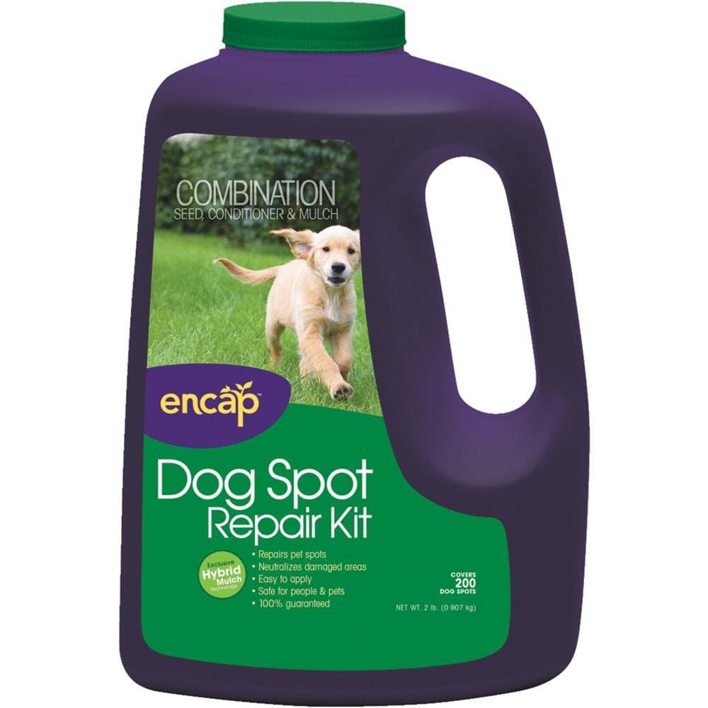 1 Lb. Grass Patch And Repair Kit