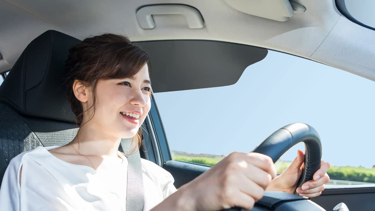 Limo Tint Car Sun Window Shade Visor Shades Sunshade Visors Extender 2 Pack