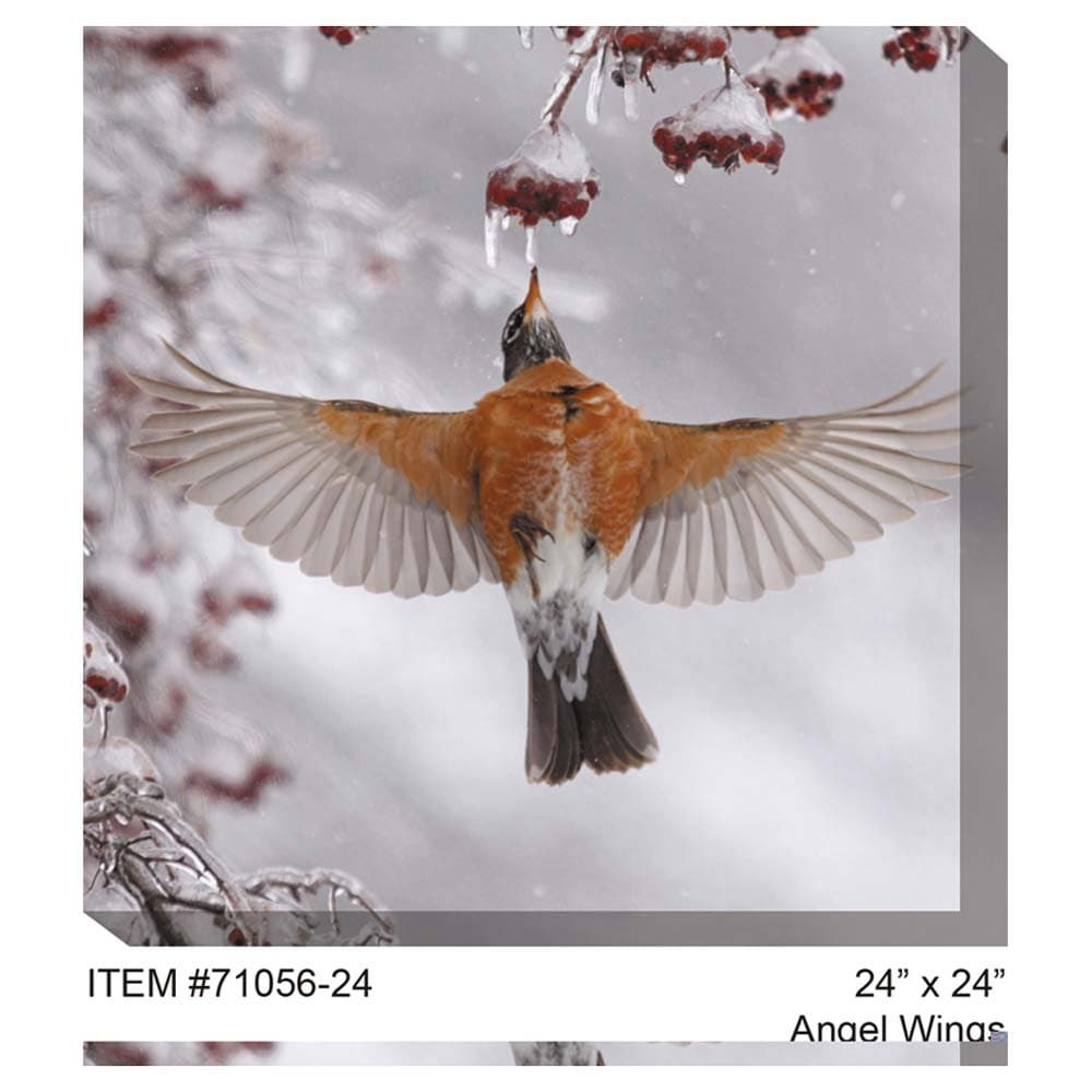 West of the Wind All-Weather Art Print, 24-Inch, Angel Wings