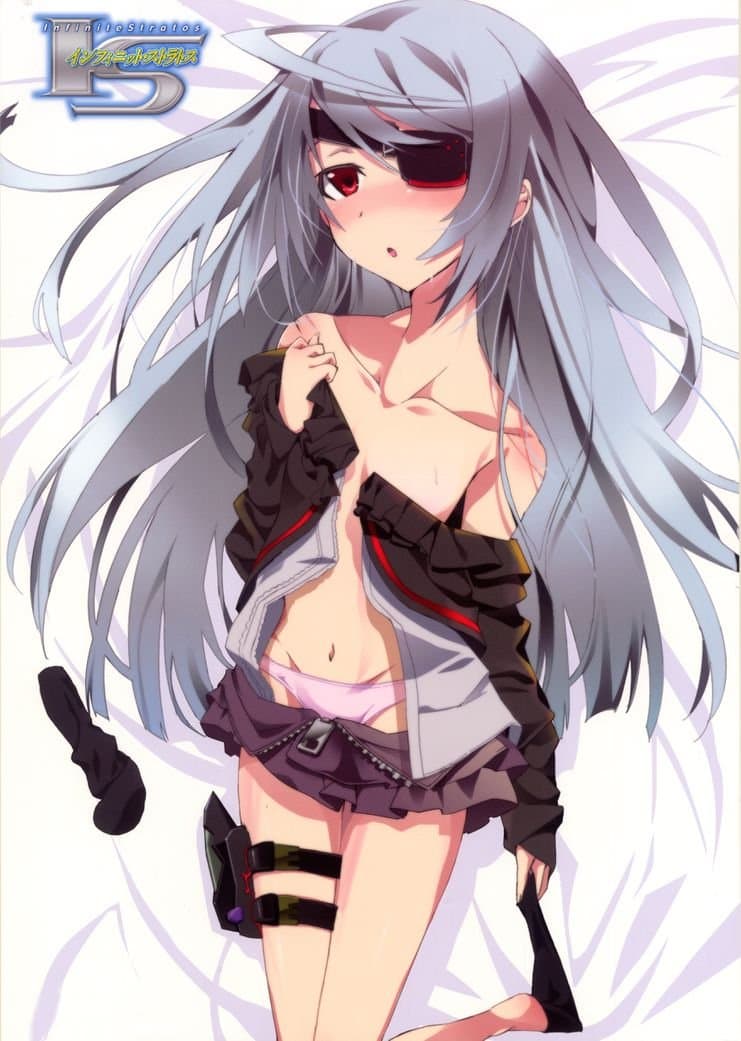 Infinite Stratos (35x49 cm 14x20 inch) Poster Silk Print Poster - F-LDF1E9