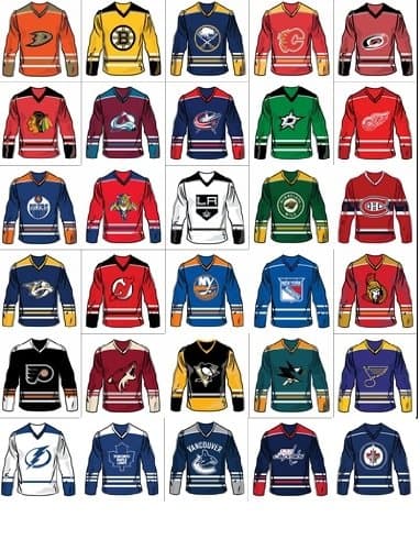 30 wall decals stickers NHL teams jersey - Good size: 5" Kitchen