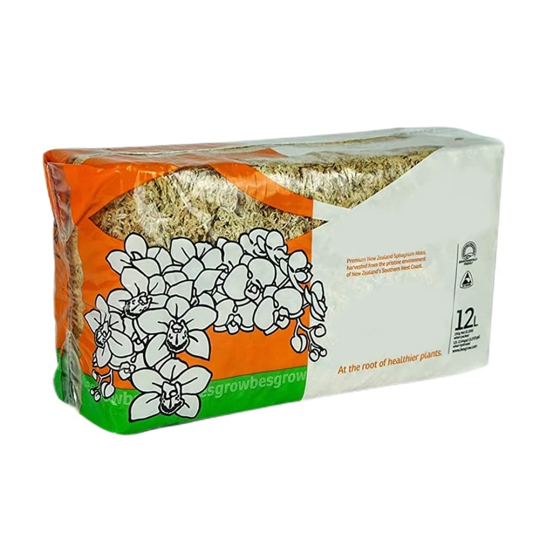 Jorzer Dried Sphagnum 150g/bag Dry Moss for Reptiles Bedding and Terrarium Pet Supplies !