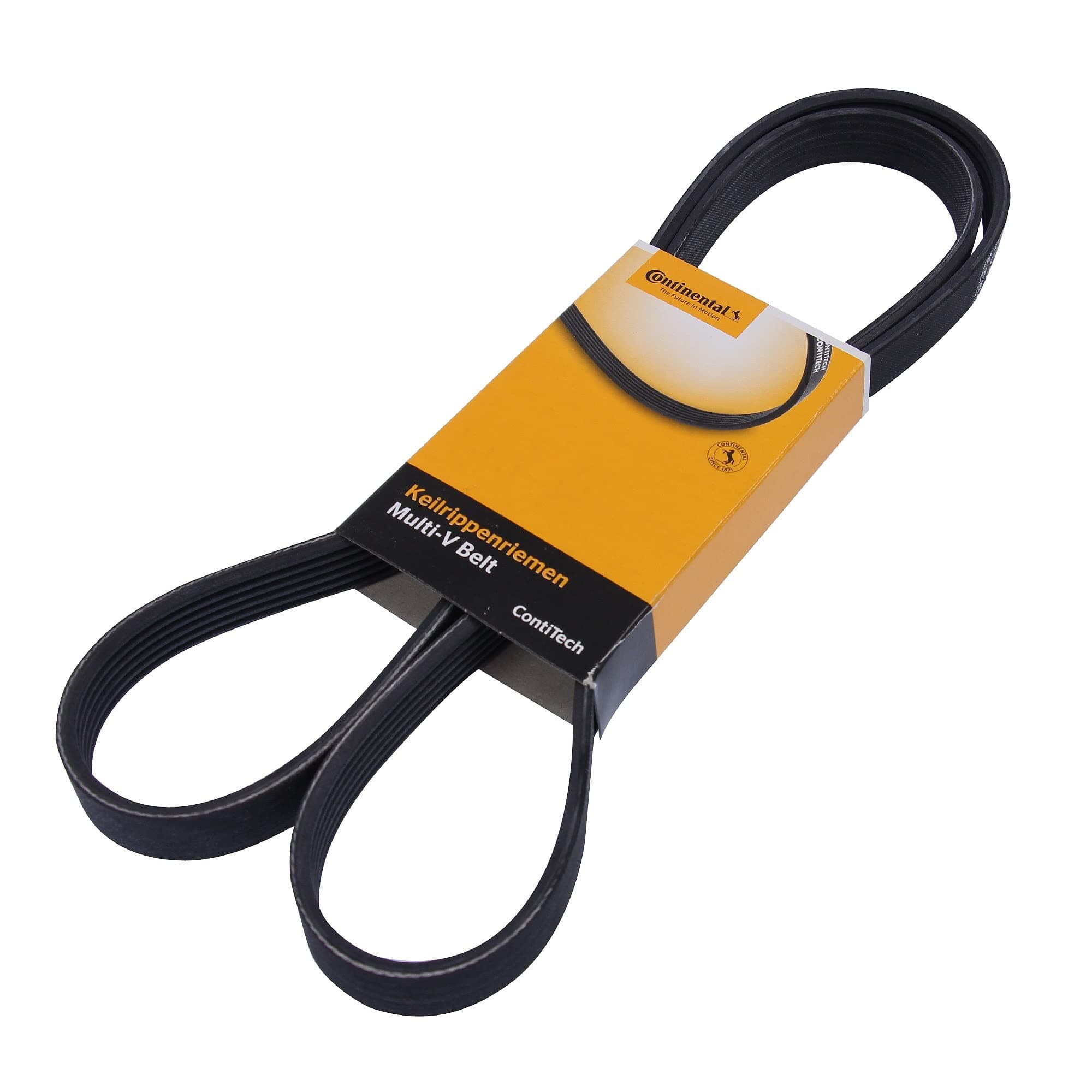 Continental 6PK1538 Metric Multi V-Belt