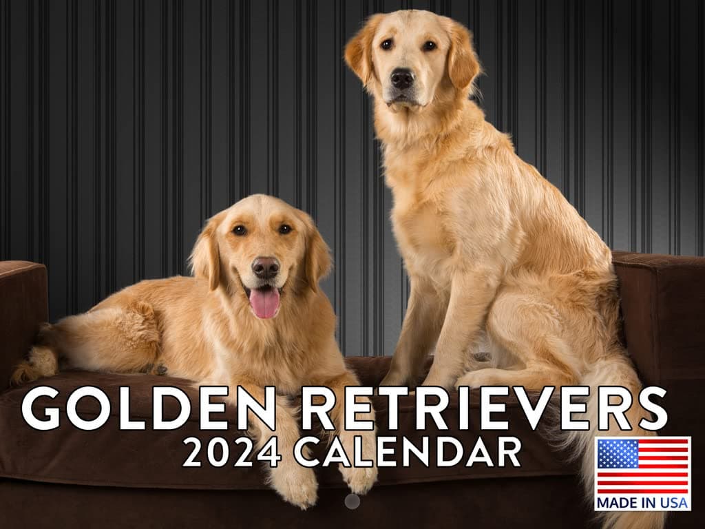Golden Retriever Calendar 2025 Monthly Wall Calander 12 Month | American Made In The USA