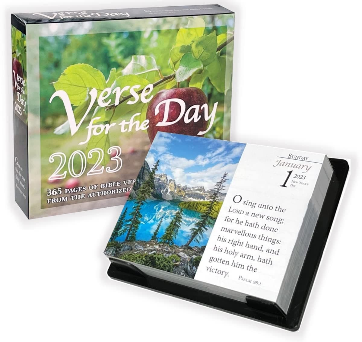 Verse for the Day Calendar 2023 - Daily Bible Calendar with KJV Scripture - 365 Pages