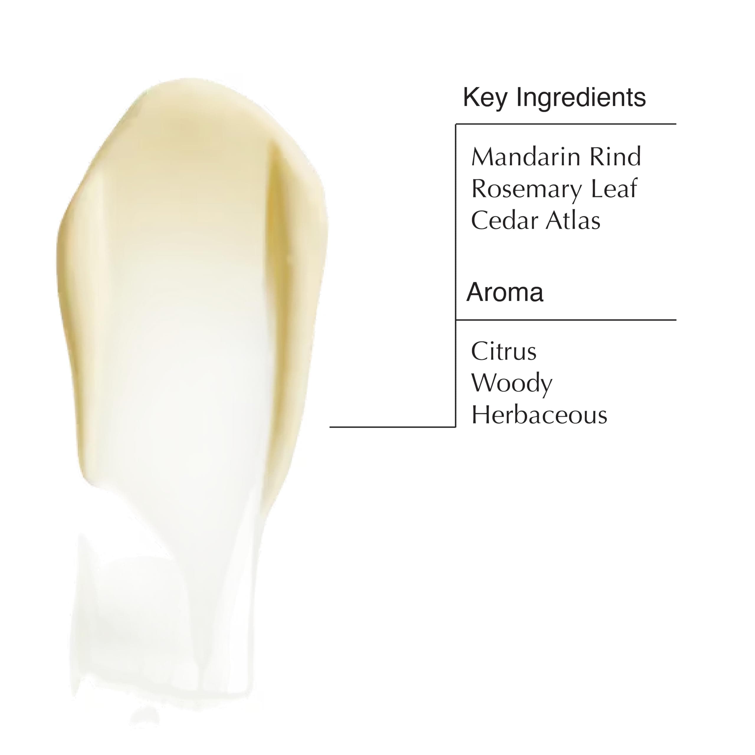 イソップ(Aesop) スムージング レスレクション ハンドバーム 75ミリリットル (x 1) [並行輸入品]