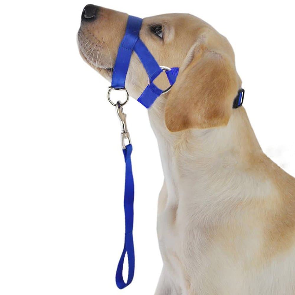 Open INnoVation Headcollar for Dog Head Collar to Prevent Dog Bite (S, Blue)