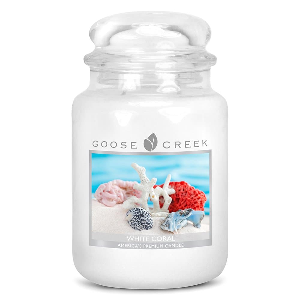 Goose Creek 24 oz. Candle Jar White Coral, Wax, 10 x 10 x 17 cm