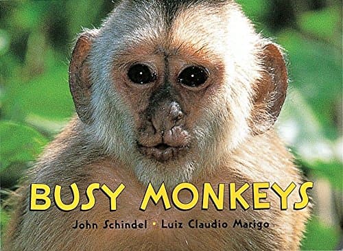 Busy Monkeys (A Busy Book) Board book – May 3, 2002