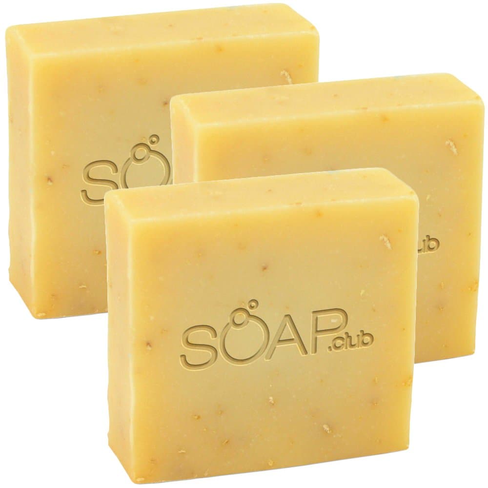 Goat's Milk Citrus Natural Handmade Soap 5oz (3 Pack)