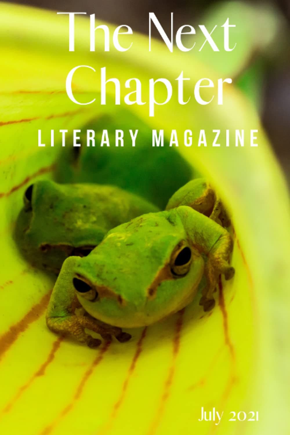 The Next Chapter Literary Magazine: A Literary Magazine July 2021