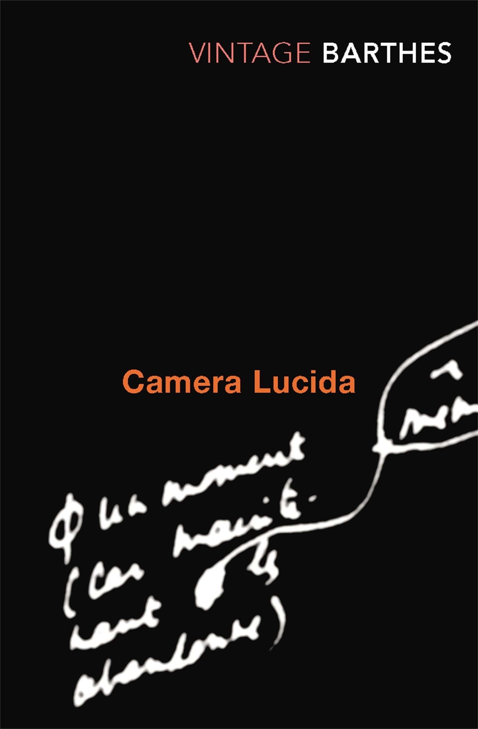Camera Lucida: Reflections on Photography Paperback – 15 July 1993