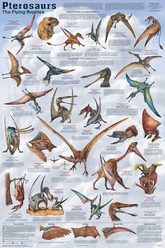 Pterosaurs Dinosaur Poster