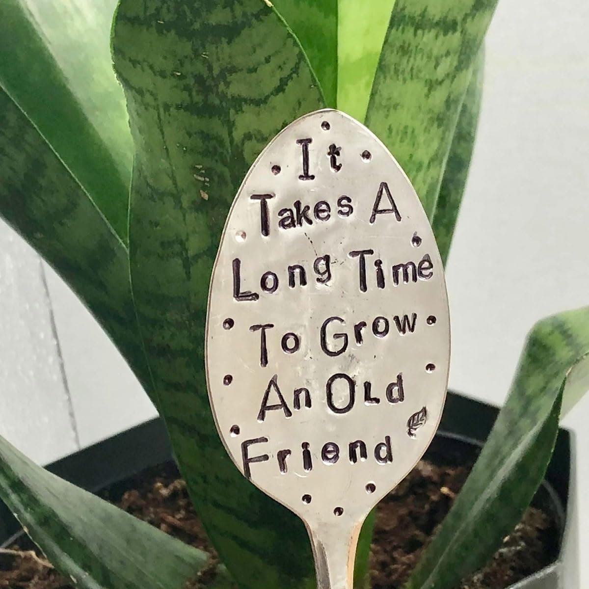 Garden Marker Friendship Gift, Garden Markers, Plant Labels, Plant Markers, Garden Metal DIY Decorative Sign, Plant Lover Garden Decoration (Color : It Takes A Long Time to Grow)