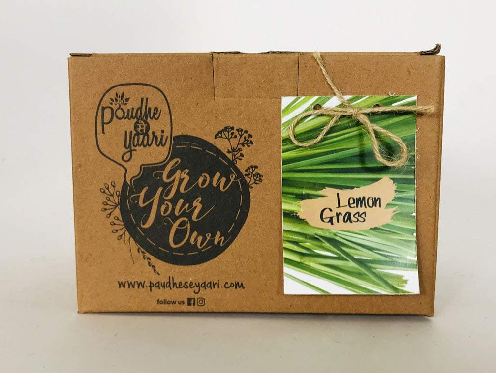 Paudhe Se Yaari Grow Your Own Lemon Grass Kit. Indoor Outdoor Herbs Vegetables Make Your Own/Do It Yourself Kitchen Garden Starter Kit Contains Coir Pot Soil Mix and Lemon Grass Seeds.