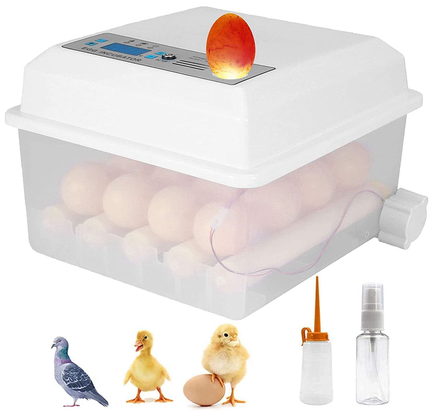 Fully Automatic Egg Incubator, 18 Eggs Digital Mini Automatic Incubator with Automatic Egg Turning, Temperature Control and Humidity Ventilation, for Hatching Chicken, Duck, Goose, Quail Eggs