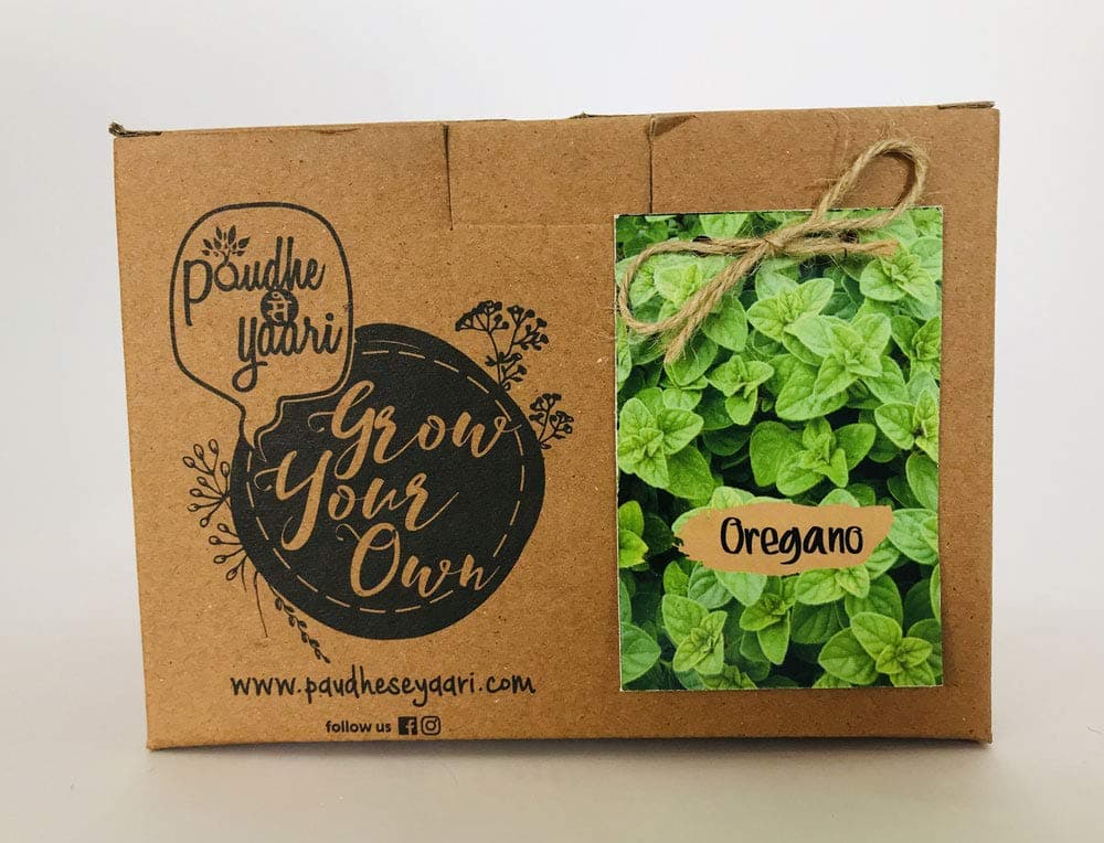 Paudhe Se Yaari Grow Your Own Oregano Kit. Indoor Outdoor Herbs Vegetables Make Your Own/Do It Yourself Kitchen Garden Starter Kit Contains Coir Pot Soil Mix and Oregano Seeds.