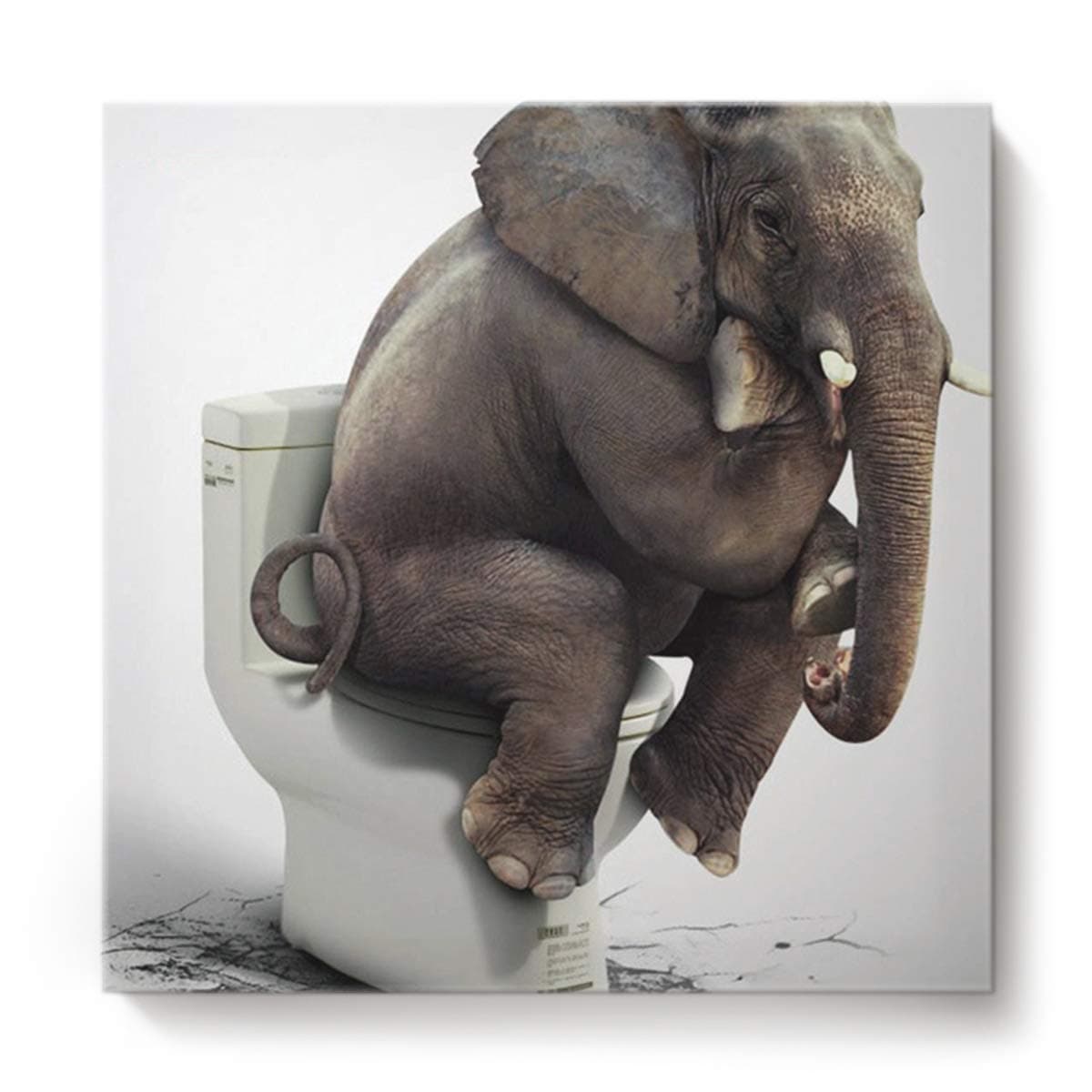 Square Canvas Wall Art Oil Painting for Bedroom Living Room Home Decor,Funny Elephant Sitting on The Toilet Animal Pattern Office Artworks,Stretched by Wooden Frame,Ready to Hang,16 x 16 Inch