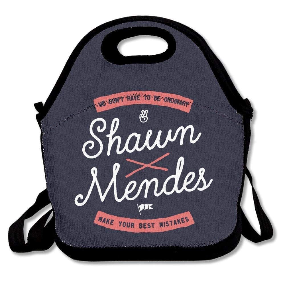 Shawn Mendes Life Of The Party Insulated Lunch Bag Carry Bag