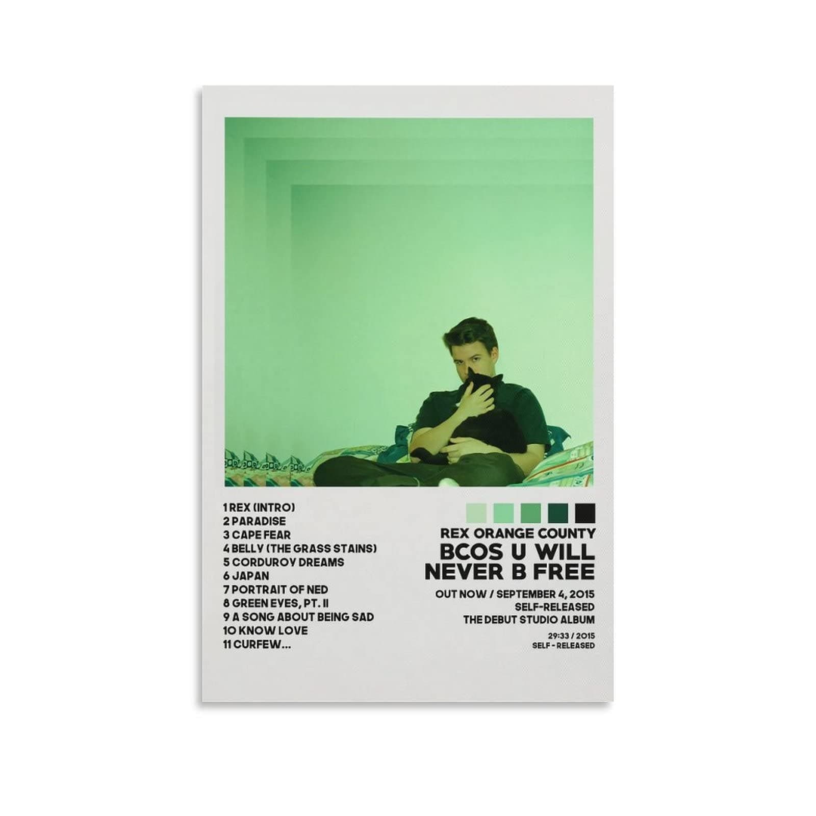 QIAOZQIAOZ Rex Orange County Poster Bcos U Will Never B Free Album Cover Poster for Room Aesthetic Decorative Painting Canvas Wall Art Bedroom Painting 12x18inch(30x45cm)