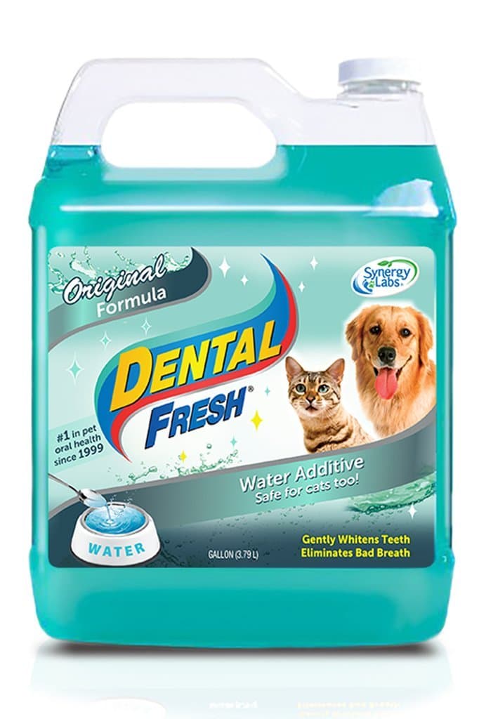 SYNERGY LABS 369043 Dental Fresh for Dog and Cat, 1-Gallon
