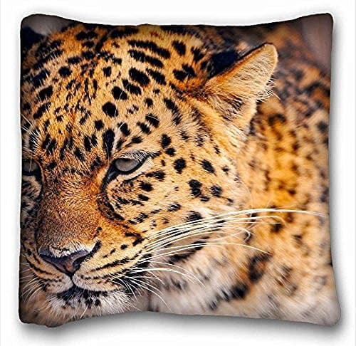 My Honey Pillow Pillow Cover leopard tired s face eyes big cat 18 in18 Twin Sides