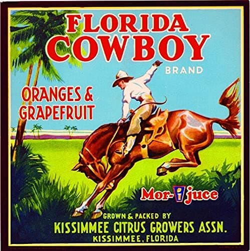 TYmall Vintage Tin Signs Kissimmee Florida Cowboy #3 Orange Citrus Fruit Crate Label Vintage Art Print Custom Small Metal Signs for Home Decor 8X8 Inch