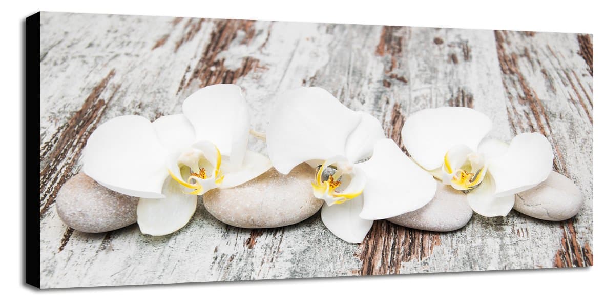 Engardo 60 FL41 Canvas Orchids on Wood, Multi-Colour, 130 x 3 x 60 cm