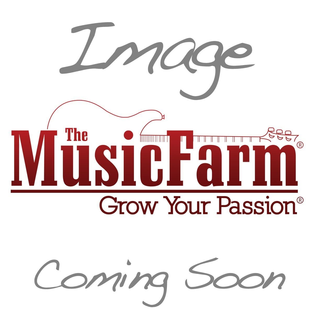 Genz Benz Hvy-Duty Padded Amp Cover