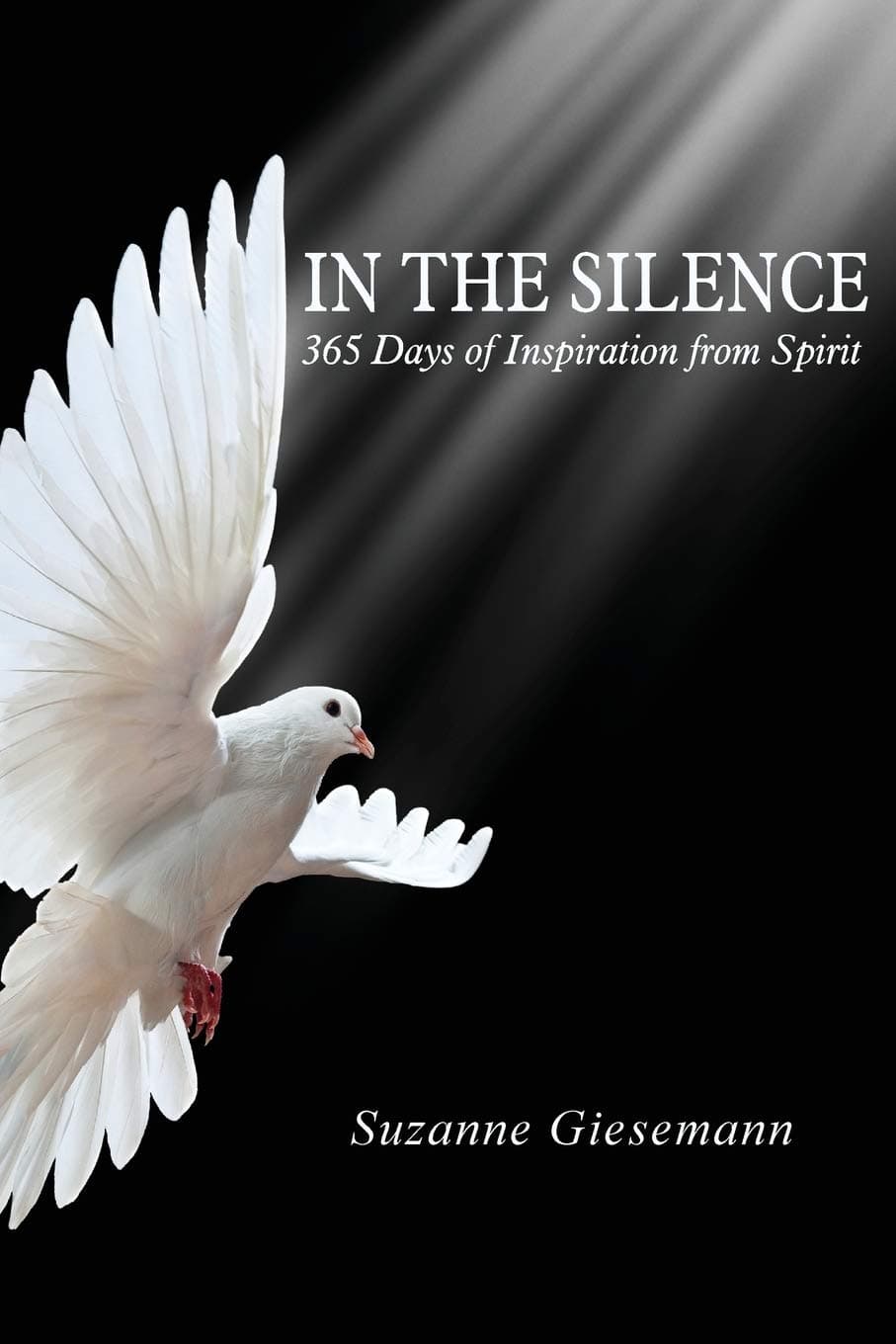 In the Silence: 365 Days of Inspiration from Spirit Paperback – November 15, 2013