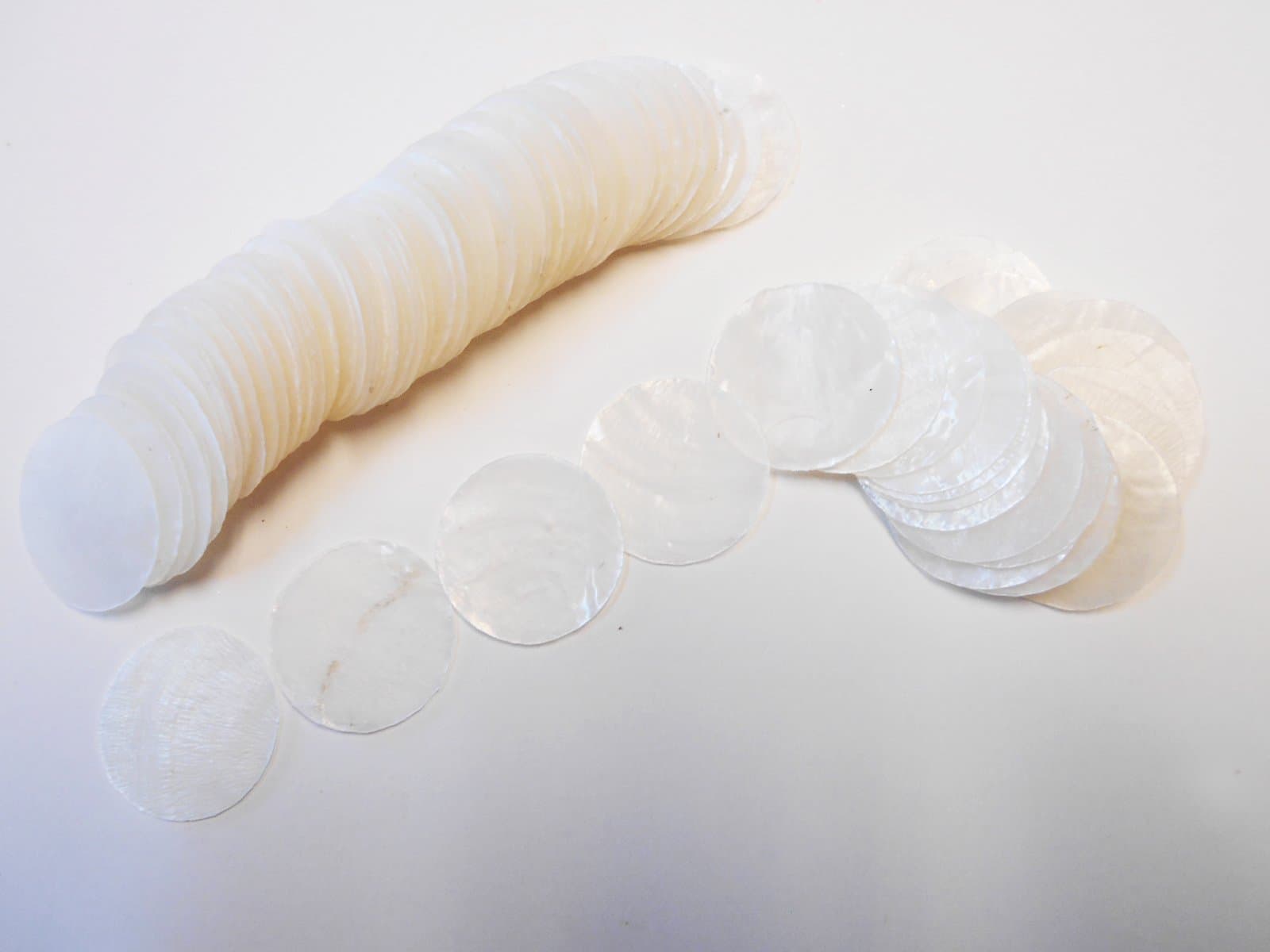 50 Capiz Shells White Round 1" Diameter No Holes Crafts Windchimes Shellcraft Y
