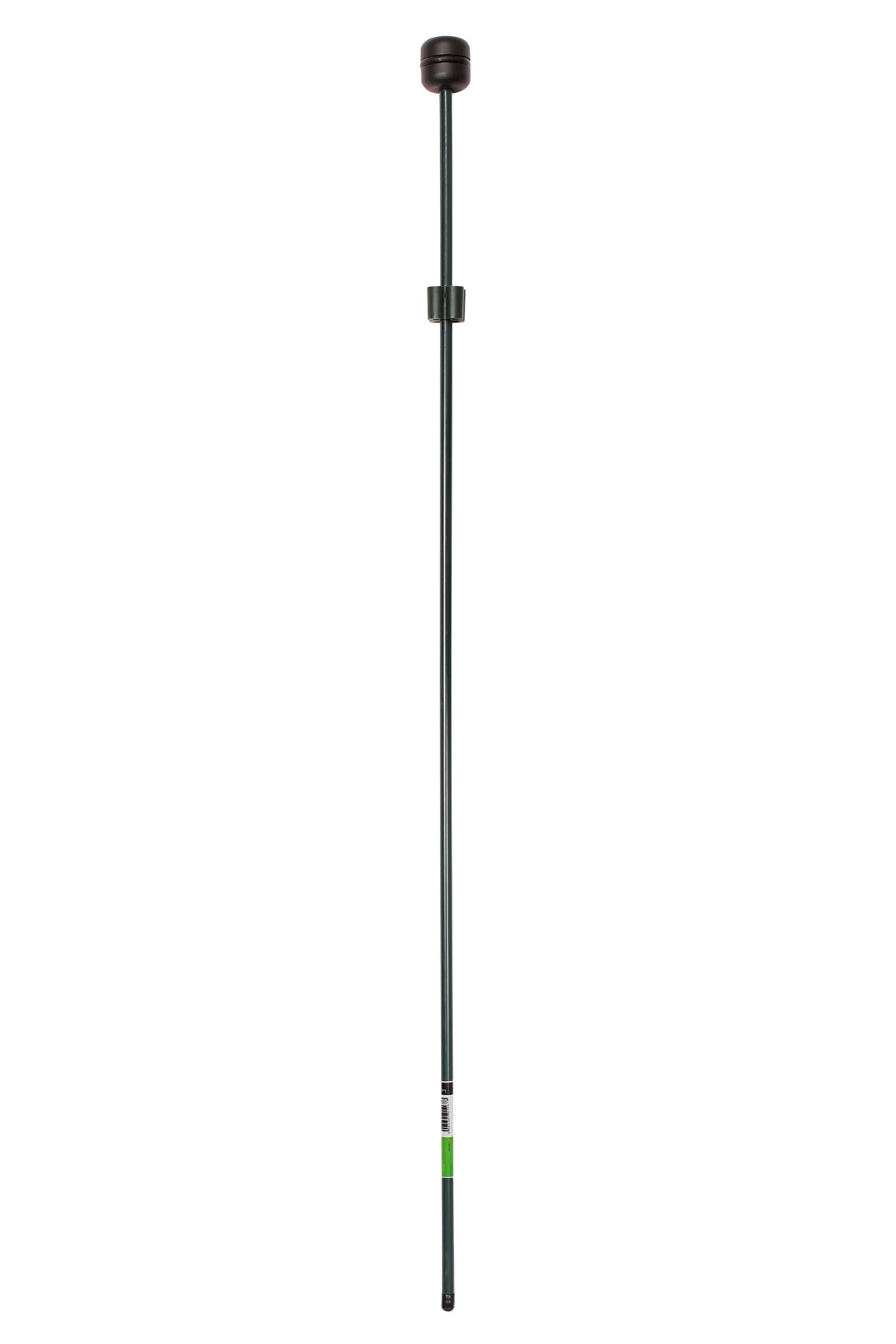 Botanico 75cm Plant Support Stake